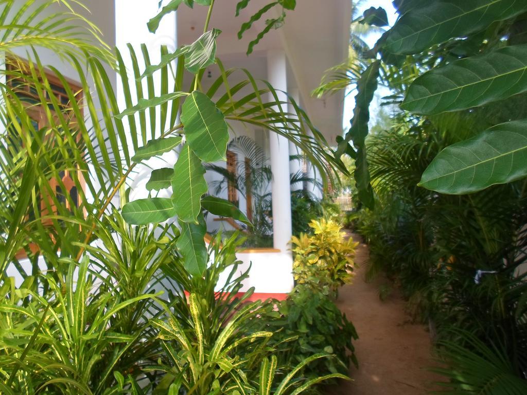 ארוגם Surf & Sand Hotel Arugambay מראה חיצוני תמונה