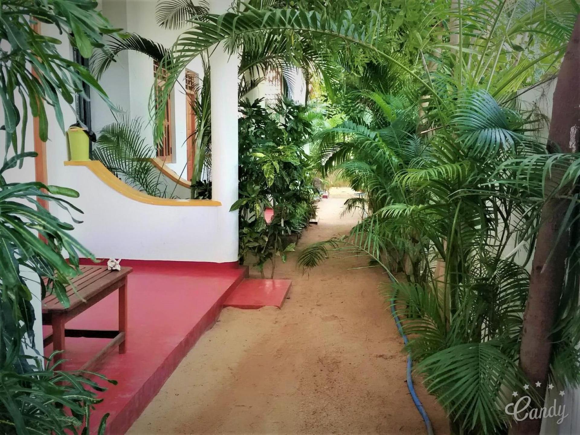 ארוגם Surf & Sand Hotel Arugambay מראה חיצוני תמונה